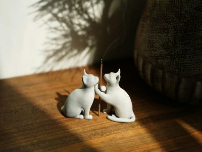 Close up of incense sticks and a small plant.